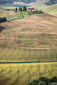 The curved shapes of the multicolored hills of the Crete Senesi , Senese Clays  province of Siena Tuscany Italy Europe