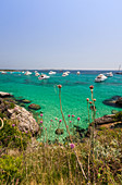Blumen und Gras des Binnenlandes Rahmen der Geschwindigkeit Boote vor Anker im türkisfarbenen Meer Sperone Bonifacio Südkorsika Frankreich Europa