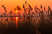 Italien, Veneto, Gardasee, Sonnenuntergang am See