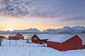 Typical fishing village overlooking the fjord, Nordmannvik, Kafjord, Lyngen Alps, Troms, Norway, Lapland, Europe