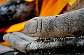 In Sukhothai historical park, thailand, statue of Buddha and details of an hand, well-preserved stone