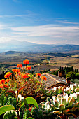 Blick auf Val d'Orcia coutryside von Pienza Dorf, Siena Bezirk, Toskana, Italien