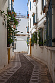 Córdoba, Andalusia, Spain, A characteristic narrow street