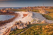 Die Felsen, geprägt von starken Winden und Winterstürmen, sie haben sehr spezifische Formen, Insel Ouessant, Bretagne, Frankreich, Die Pointe de Pern ist die wildeste und spektakulärste der Insel Ouessant