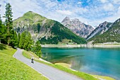 Europa, Italien, Lombardei, Sondrio, Mountainbiker am Livigno See im Sommer