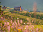 Italy, Veneto, Dolomites, Chalets in the meadows