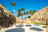 Bavaro Beach, Bavaro, Higuey, Punta Cana, Dominikanische Republik, Thatch Sonnenschirme