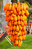 Eine Nahaufnahme von einer Ausstellung von orange Kürbissen während einer herbstlichen Ausstellung in einem lokalen Marktplatz, Provinz Bozen, Südtirol, Italien, Europa