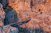 Europe, Italy, Veneto, Belluno, Two hikers near the suspended bridge with steel cables along the Kaiserjaeger trail, Lagazuoi, Dolomites