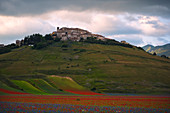 Castelluccio di Norcia, Umbria region, Perugia province, Italy, Europe