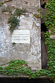 Details of the stone plaque of the city gate of Calvi framed by fern Balagne Region northwest Corsica France Europe