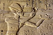 Karnak Temple Upper Egypt