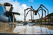 Museo Guggenheim Bilbao Vizcaya Basque Country Spain Europe