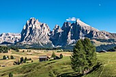 Alpe di Siusi Seiser Alm, Dolomites, South Tyrol, Italy View from the Alpe di Siusi to the peaks of Sassolungo Langkofel and Sassopiatto Plattkofel