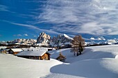 Alpe di Siusi Seiser Alm, Dolomites, South Tyrol, Italy Winter landscape on the Alpe di Siusi Seiser Alm with the peaks of Sassolungo   Langkofel and Sassopiatto   Plattkofel