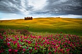 San Quirico d'Orcia, Tuscany, Italy