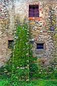 Windows in stone wall, Flaçà, Girona, Catalonia, Spain