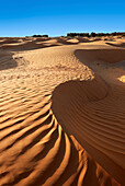 The Sahara desert sand dunes of Erg Oriental near the oasis of Ksar Ghilane, Tunisia, Africa