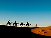 Camel caravan tourists in the Erg Chebbi sand dunes