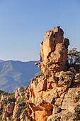 Remarkable Tafoni rock in the Calanche, between Porto and Piana, West Corsica, Corsica, Southern France, France, Southern Europe, Europe