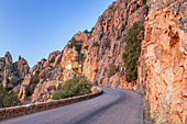 Winding road in the Calanche in evening light, westcoast between Porto and Piana, West Corsica, Corsica, Southern France, France, Southern Europe, Europe