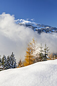 Bergwald in den Zillertaler Alpen mit Blick auf die Tuxer Alpen, Ramsberg, Hippach, Zell am Ziller, Tirol, Österreich, Europa