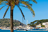 Blick von der Promenade mit Palme auf den Hafen mit dem alten Leuchtturm im Hintergrund, Port de Sóller, Mallorca, Spanien