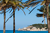 Blick von der Promenade mit Palmen auf den Hafen, Port de Sóller, Mallorca, Spanien