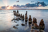 Poles, Oddesund, Oddesund Syd, Limfjord, Struer, Holstebro, Denmark