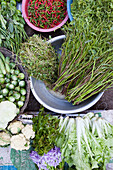 Gemüse und Kräuter auf einem Strassenmarkt, Pursat, Pursat, Kambodscha