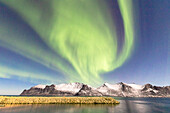 Nordlicht (Aurora Borealis) auf schneebedeckten Gipfeln und eisigem Meer entlang Mefjorden aus dem Dorf Mefjordvaer, Senja, Troms, Norwegen, Skandinavien, Europa