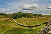 Ein Abschnitt von Hadrian's Wall at Housesteads Fort, Bardon Mill, UNESCO Weltkulturerbe, Northumberland, England, Großbritannien, Europa