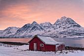 Rosa Wolken am Morgen auf der Holzhütte umgeben von gefrorenem Meer und schneebedeckten Gipfeln, Svensby, Lyngen Alpen, Troms, Norwegen, Skandinavien, Europa