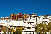 Der Potala-Palast unter blauem Himmel, UNESCO-Weltkulturerbe, Lhasa, Tibet, China, Asien