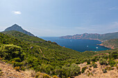 Draufsicht auf türkisfarbenes Meer und Bucht umrahmt von grüner Vegetation auf dem Vorgebirge, Porto, Südkorsika, Frankreich, Mittelmeer, Europa