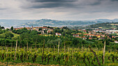 Weinberge in der Region Piemont in Norditalien, Europa