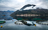 Blick über die Bucht von Kotor in Richtung der Stadt Perast, mit kreisförmigen Fischernetzen im Vordergrund, Bucht von Kotor, UNESCO-Weltkulturerbe, Montenegro, Europa