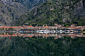 Old Town (stari grad) von Kotor spiegelt sich in Kotor Bay, UNESCO Weltkulturerbe, Montenegro, Europa