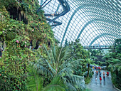 Indoor rainforest garden, Gardens by the Bay, Singapore, Southeast Asia, Asia