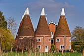 Oast Häuser, ursprünglich verwendet, um Hopfen in Bier-Herstellung, umgewandelt in Bauernhaus Unterkunft in Hadlow, Kent, England, Großbritannien, Europa