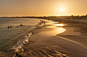 Sonnenuntergang am Strand in Santa Maria, Praia de Santa Maria, Baia de Santa Maria, Insel Sal, Kap Verde, Atlantik, Afrika