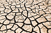 Detail of Cracked soil in dry lake bed