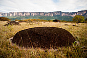 Black Rock On The Landscape At Ayan Tepui In Bolivar State, Venezuela