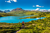 A man riding a mountain bike on the Lost Lake Trail near Seward, Southcentral Alaska, USA