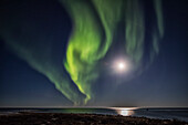 'Nordlichter über Hudson Bay; Churchill, Manitoba, Kanada'