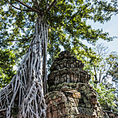 'Ta Prohm Kel Temple, Angkor Archeological Park; Krong Siem Reap, Siem Reap Province, Cambodia'