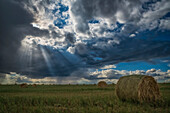 'Sonnenlicht durchbricht die Sturmwolken über ein Feld von Heuballen; Saskatchewan, Kanada'
