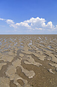 View of the watt and tidelands during low tide, Jade Bay in the National Park Wadden Sea of Lower saxony, Dangast, Varel, East Frisia, Friesland, Lower Saxony, Northern Germany, Germany, Europe