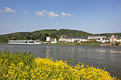 Blick über den Rhein auf Unkel,  Unteres Mittelrheintal, Rheinland-Pfalz, Deutschland, Europa