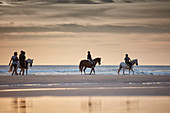Reitergruppe am Strand , Playa da Roche Andalusien, Südwestküste Spanien, Atlantik, Europa